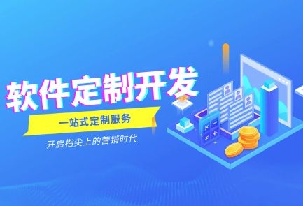 做系统我们是选择Saas还是定制呢？